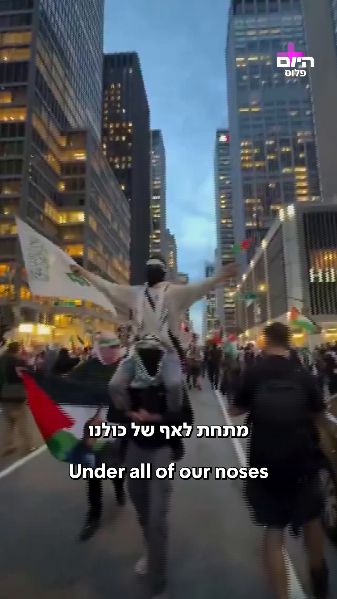 ארגון סאמידון