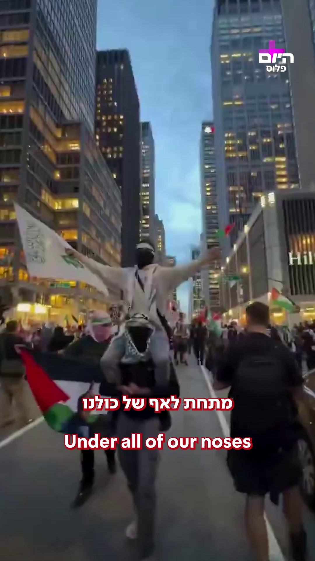 סאמידון היום פלוס