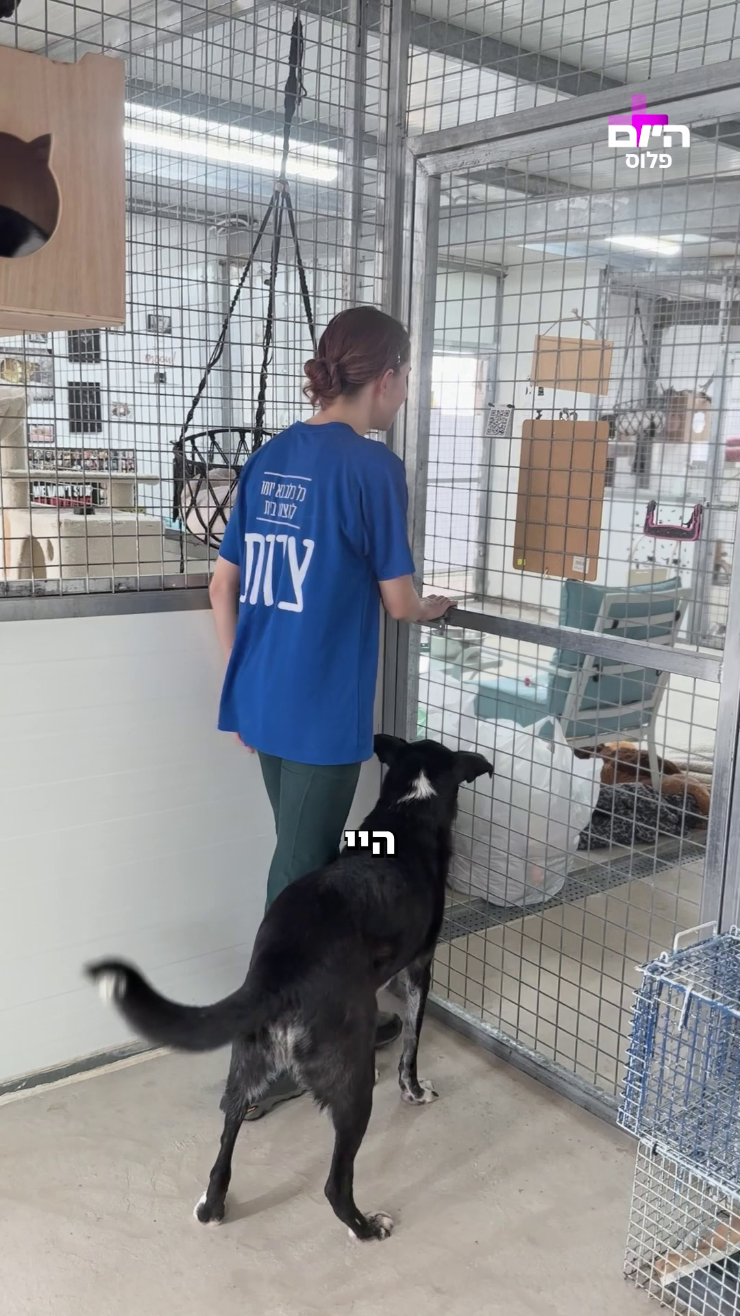 גיבורים עם זנב