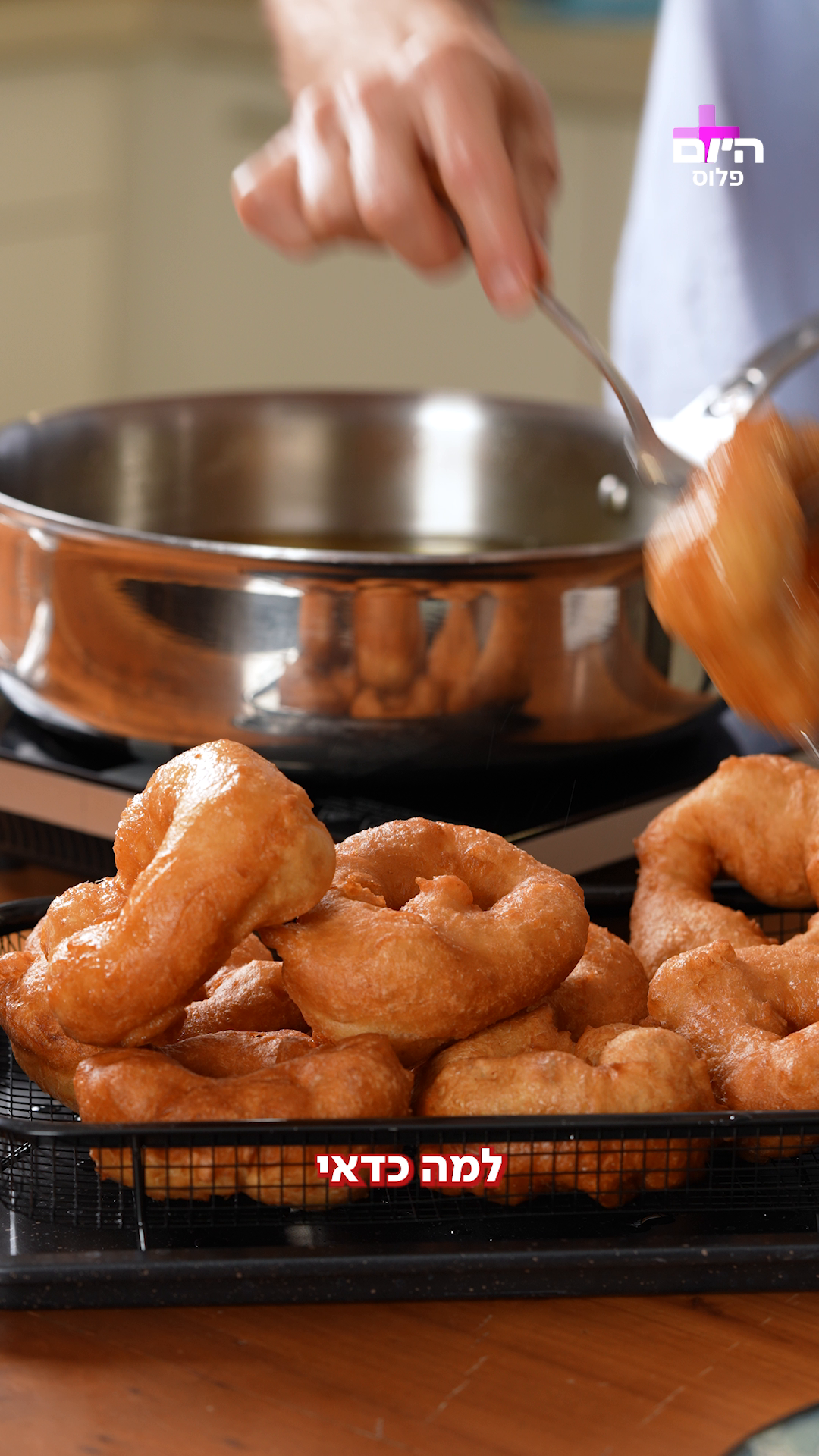 רועי דהאן- ספינג'