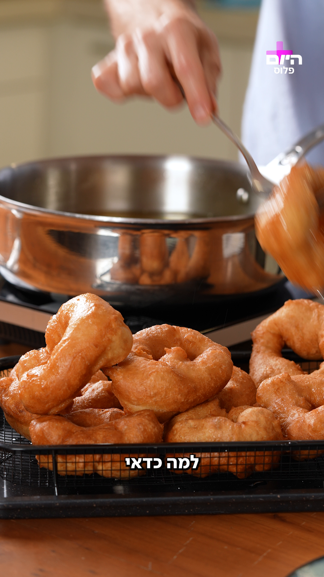 רועי דהאן - ספינג'