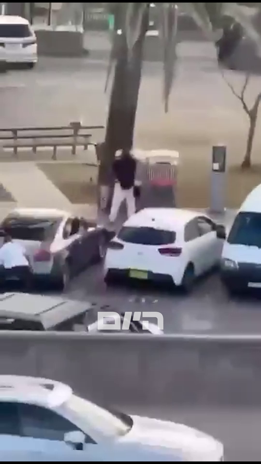 אזרח חוטף את הרובה מידי המחבל באוסטרליה - ויורה בו